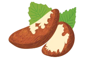 Captura_de_pantalla_2026-02-02_202034-removebg-preview